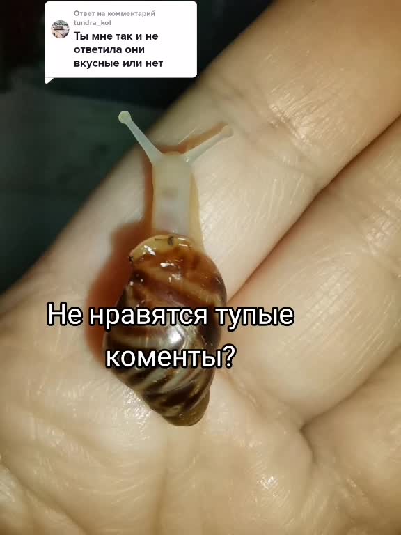 @Snails