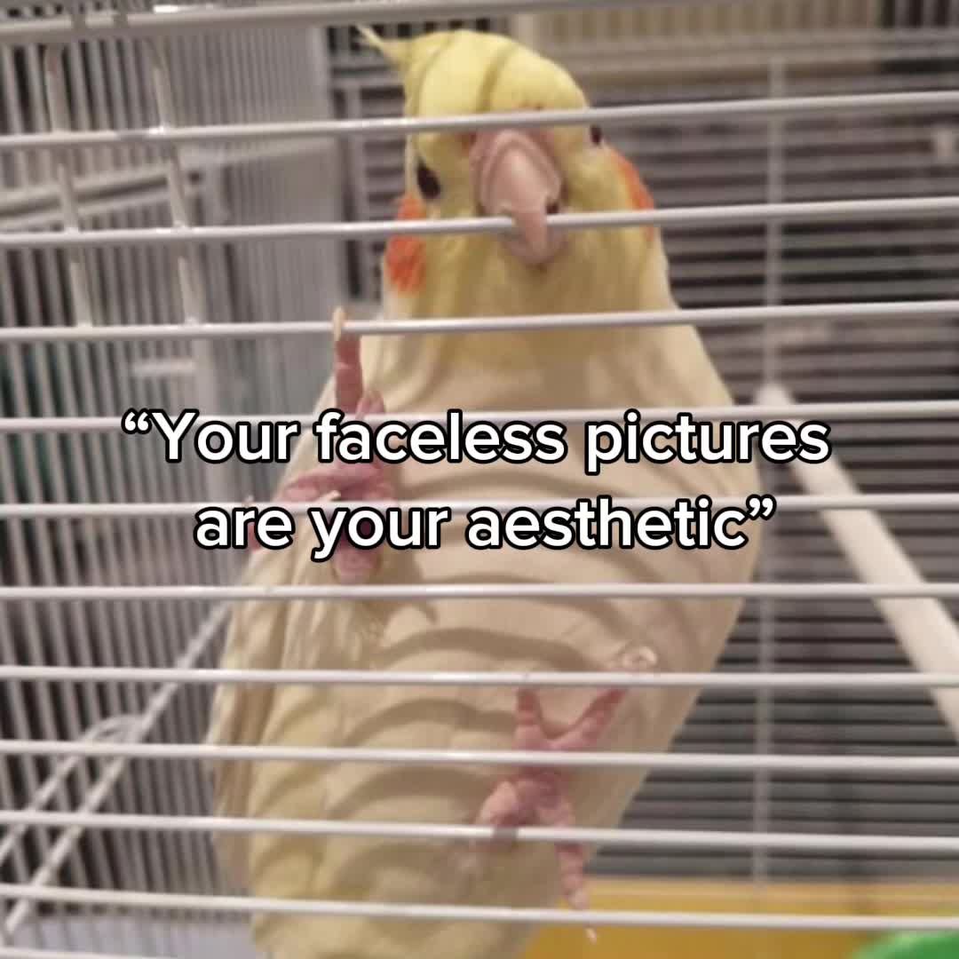 @navi