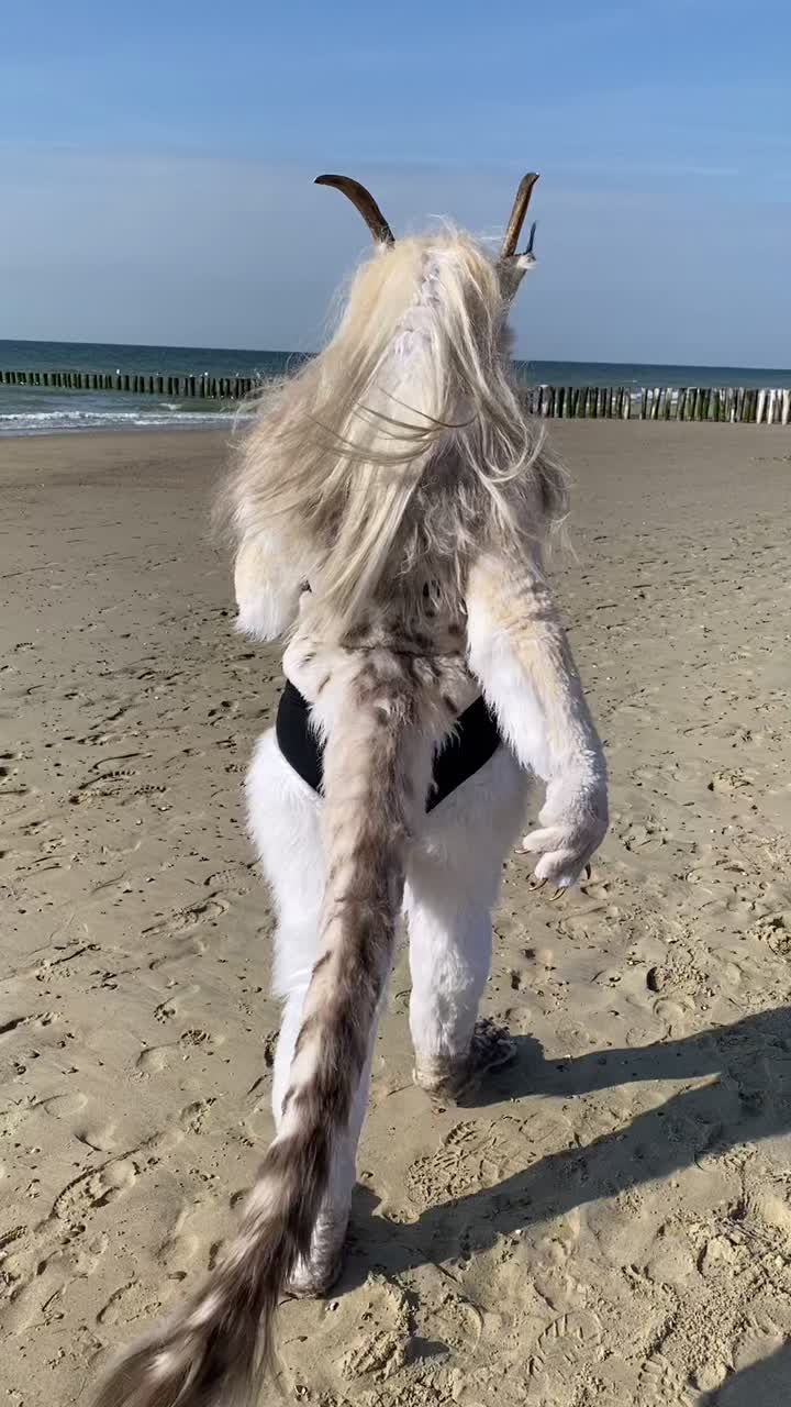 @Shangfudog