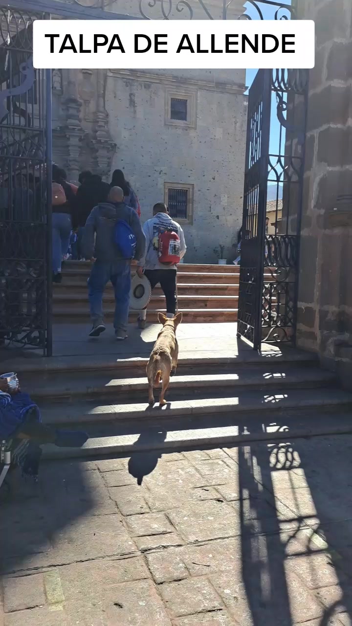 @enel_caminoandamos