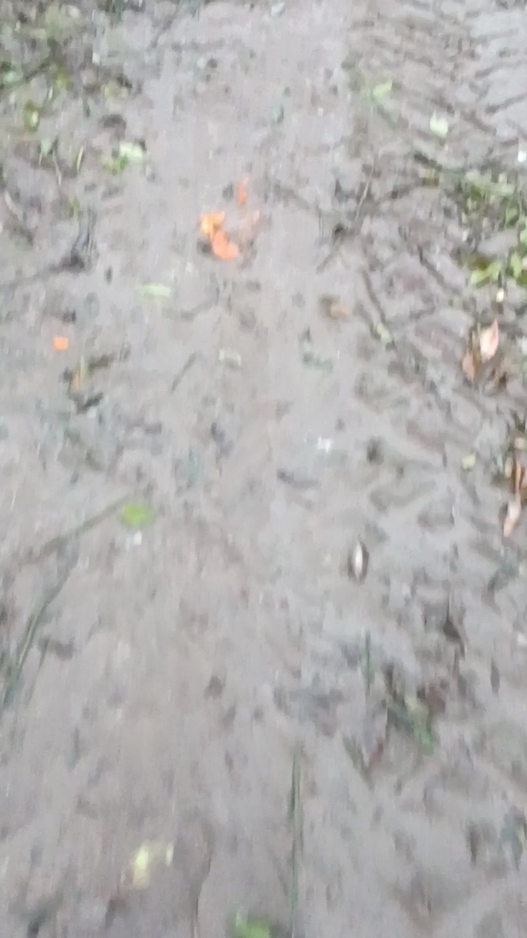 @Huseyin Akyol