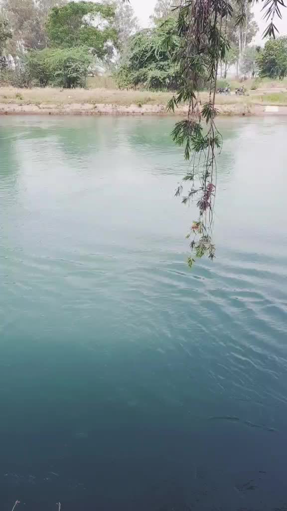 @Aman deep singh