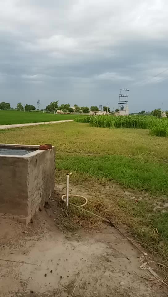 @dasi jamidar
