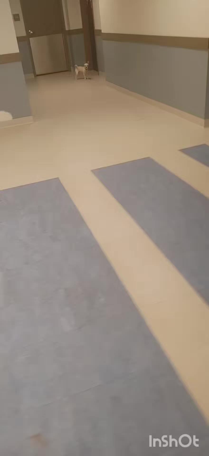 @kennykingsley125