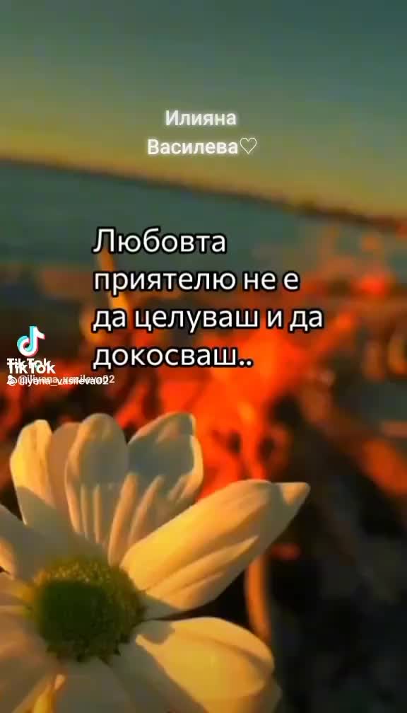 @donka antonova