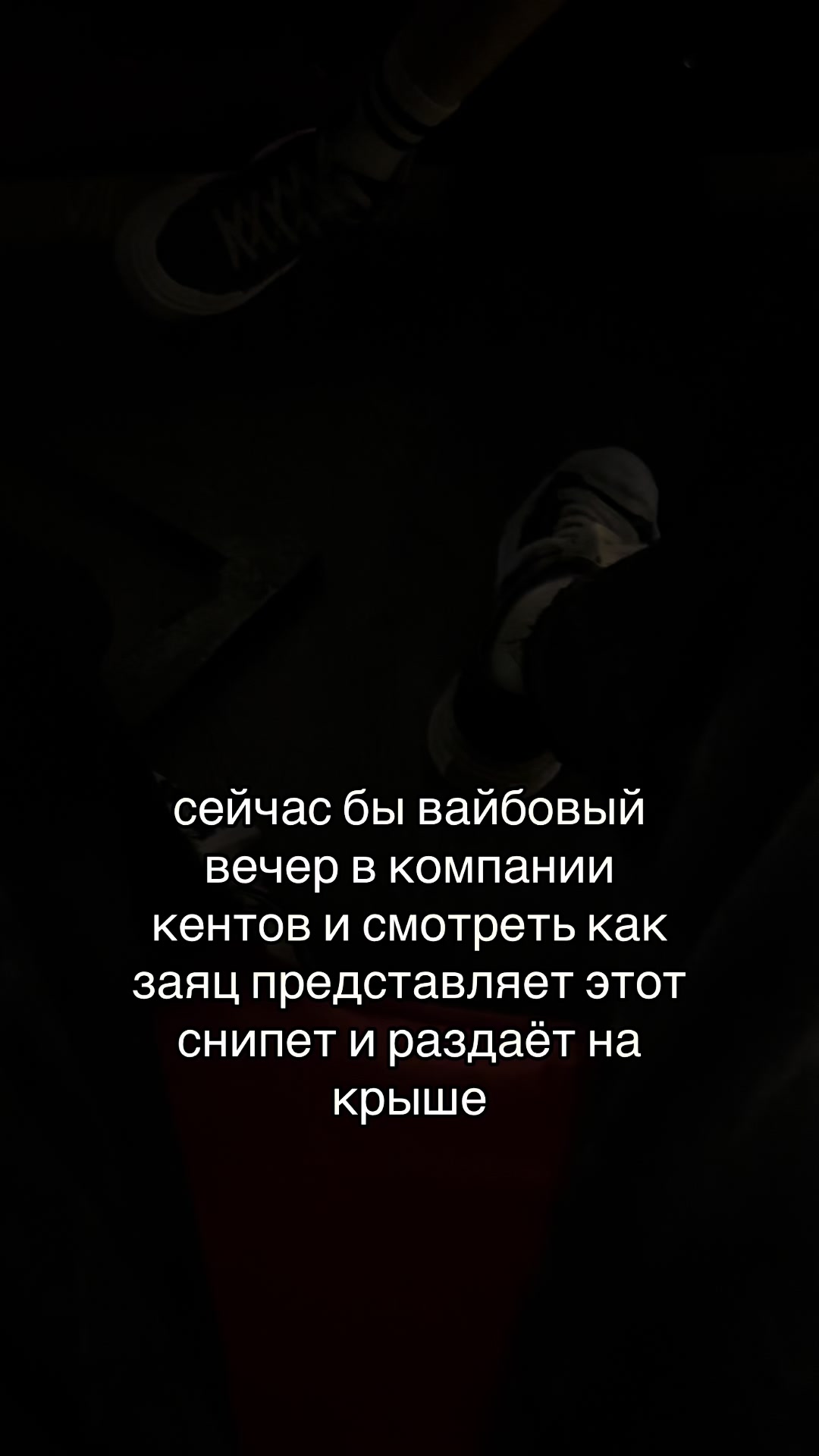 @denis_fungus