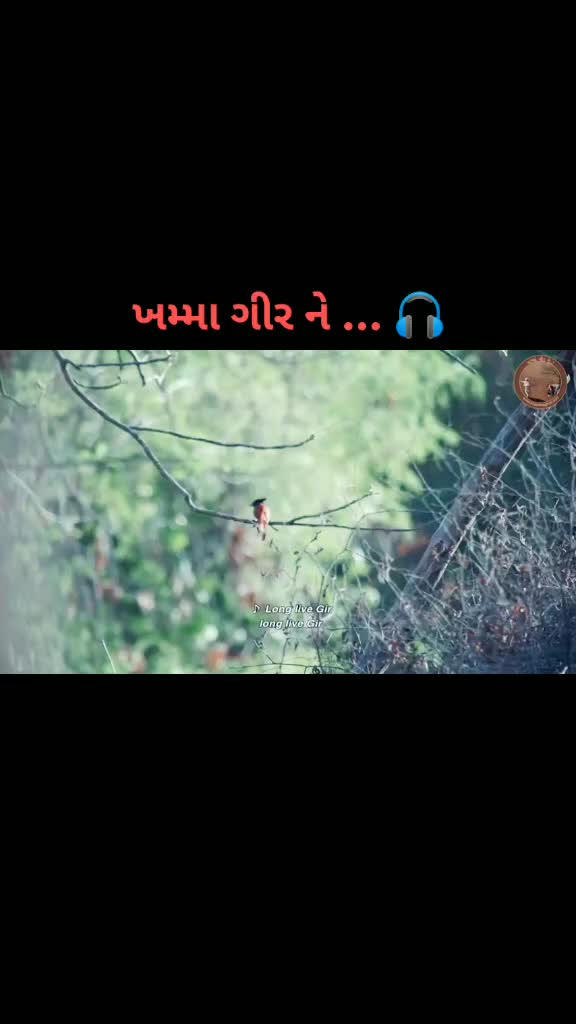 @Pratap Piprotar