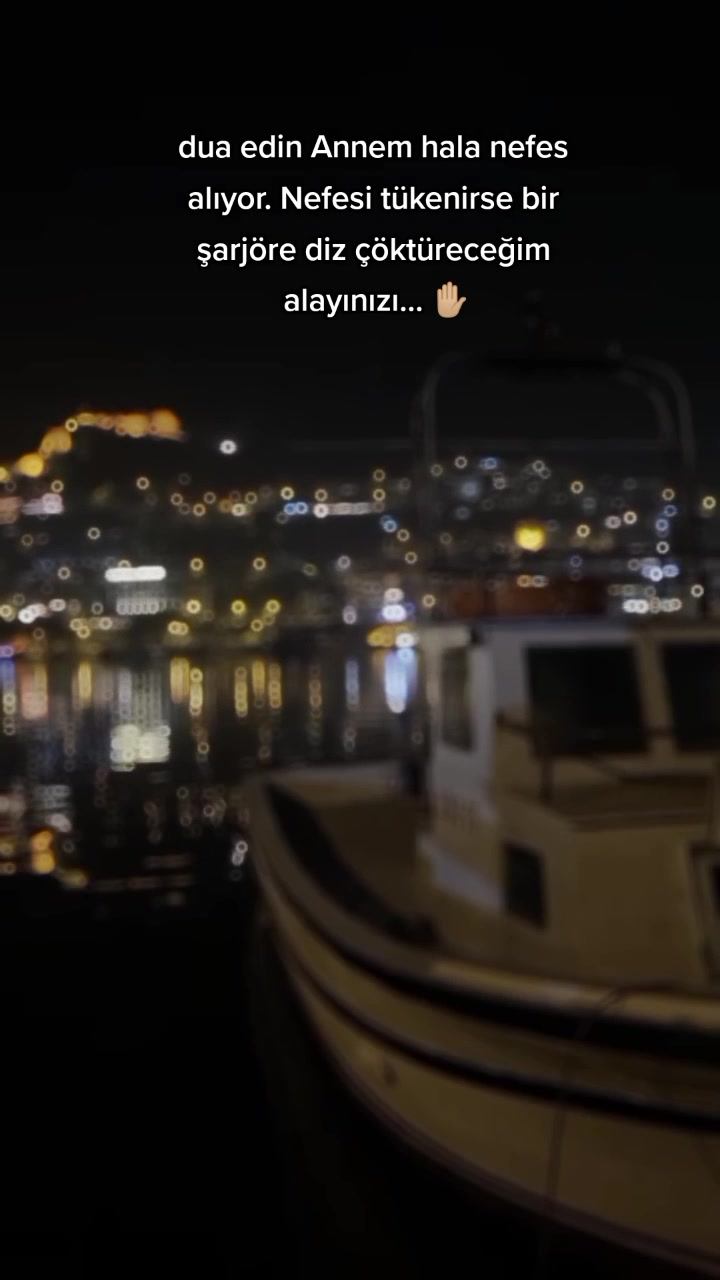 @Eftelya 🦋