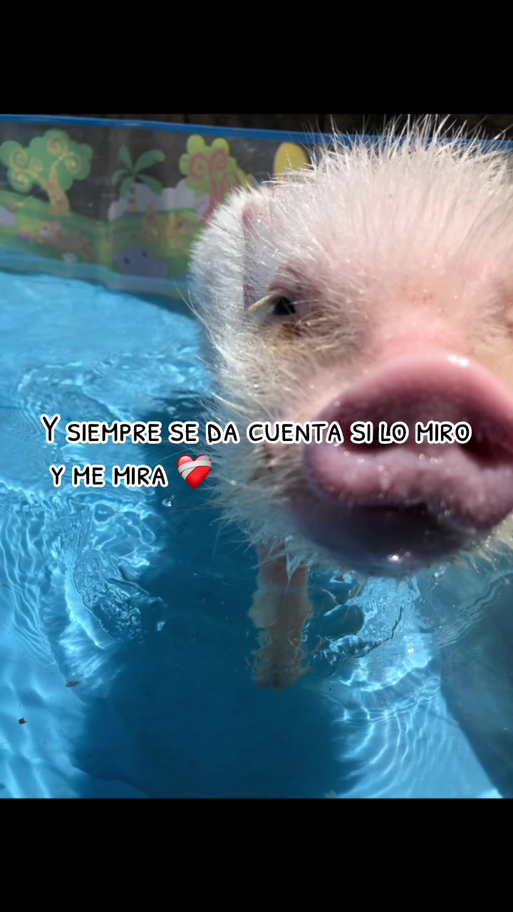 @El Bubustacio 🥵
