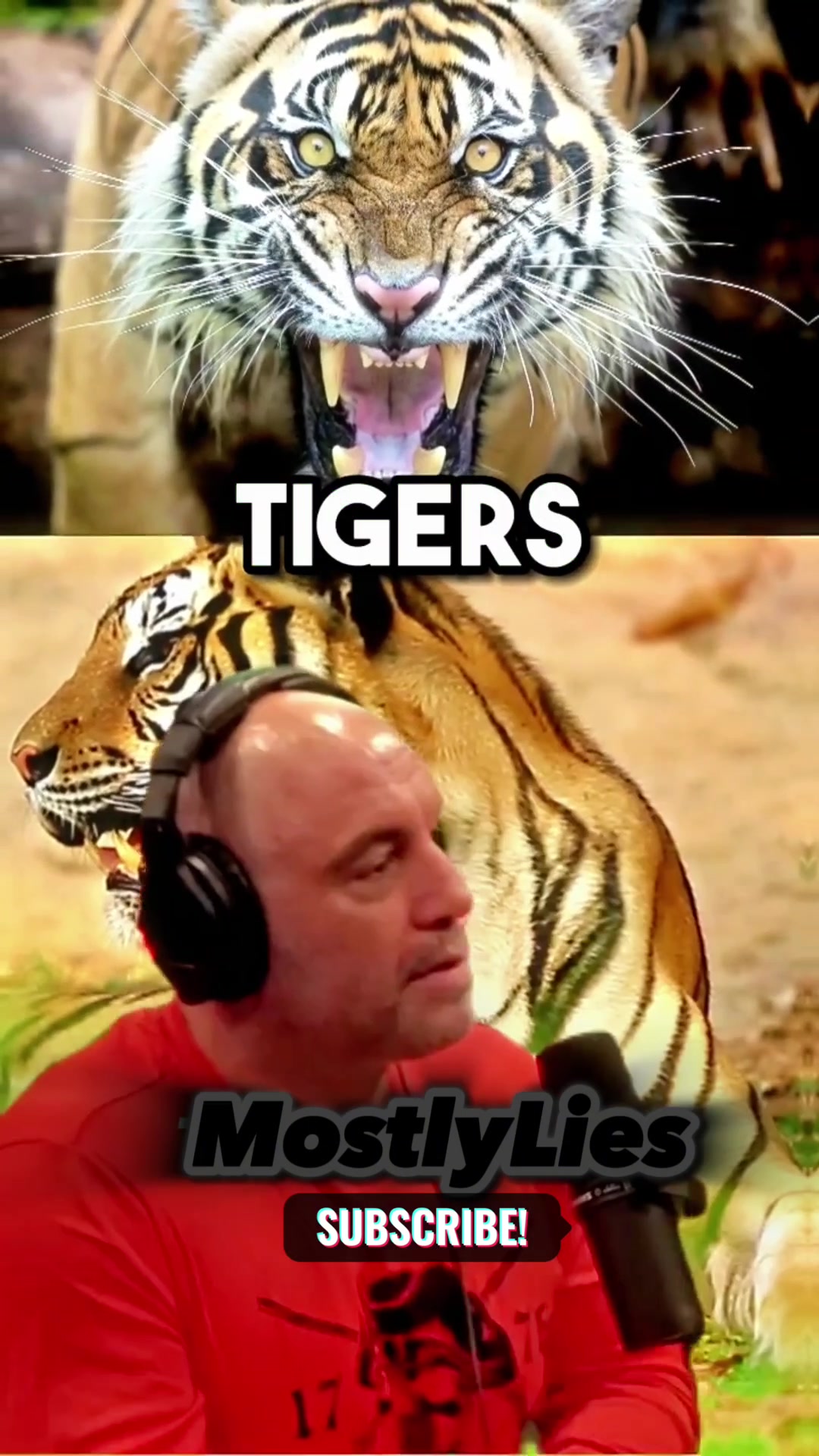 @Nik