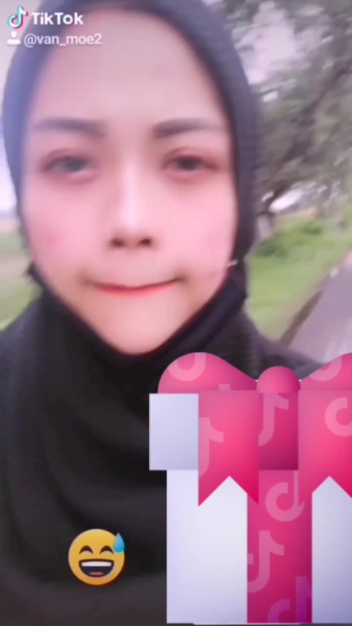@vanmoe
