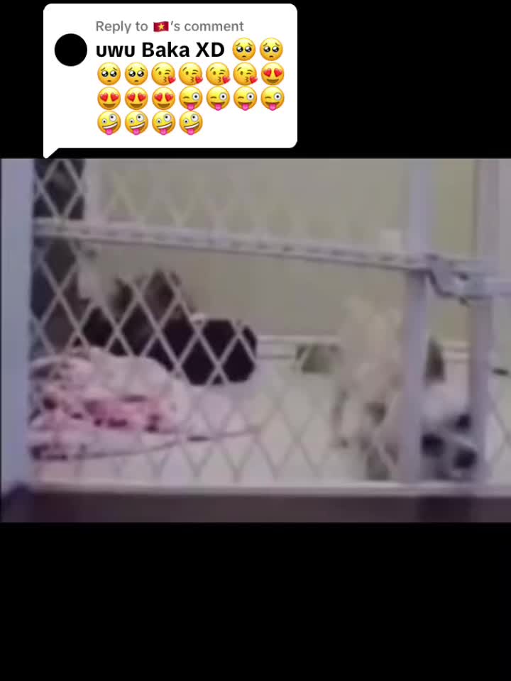 @Hi everybody ;-;