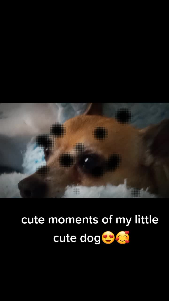 @that.one._.dragonpuppet