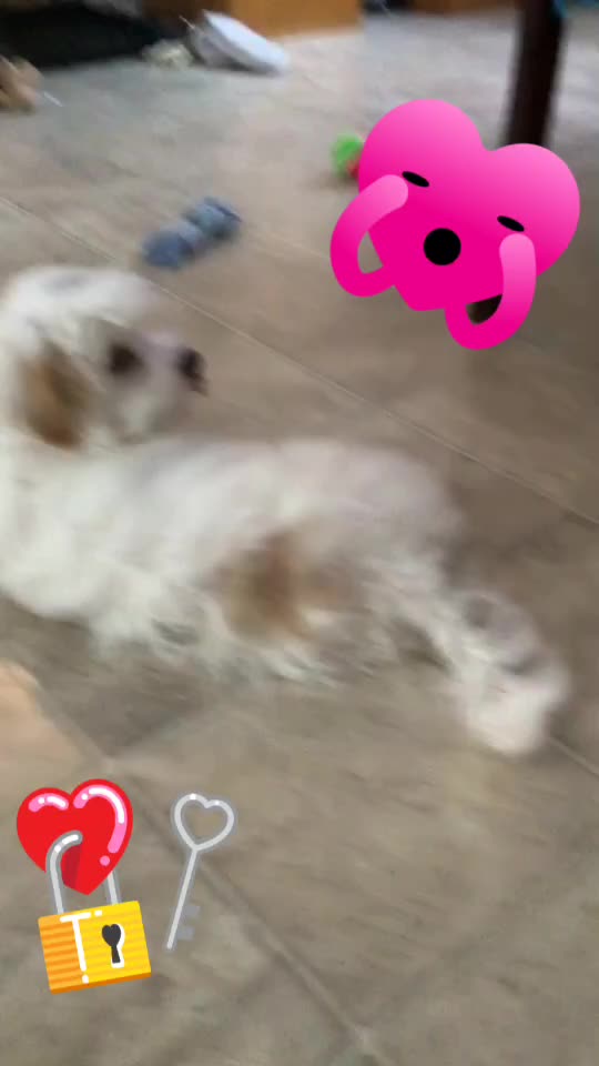 @Hello