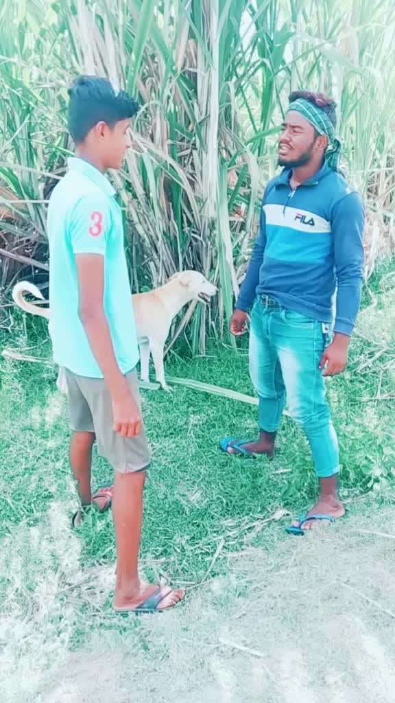 @peddusagar