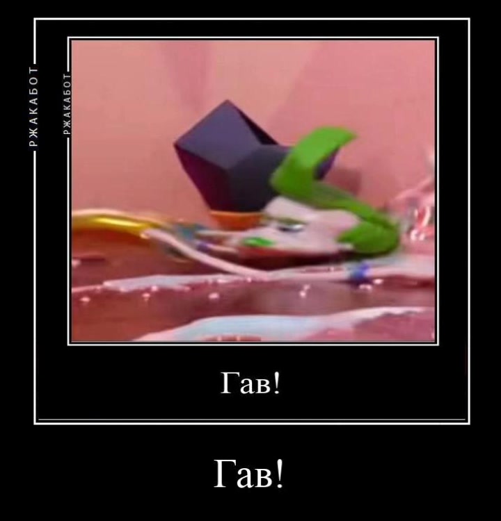 @☆𝑺𝒑𝒓𝒊𝒏𝒈𝑩𝒐𝒏𝒚☆
