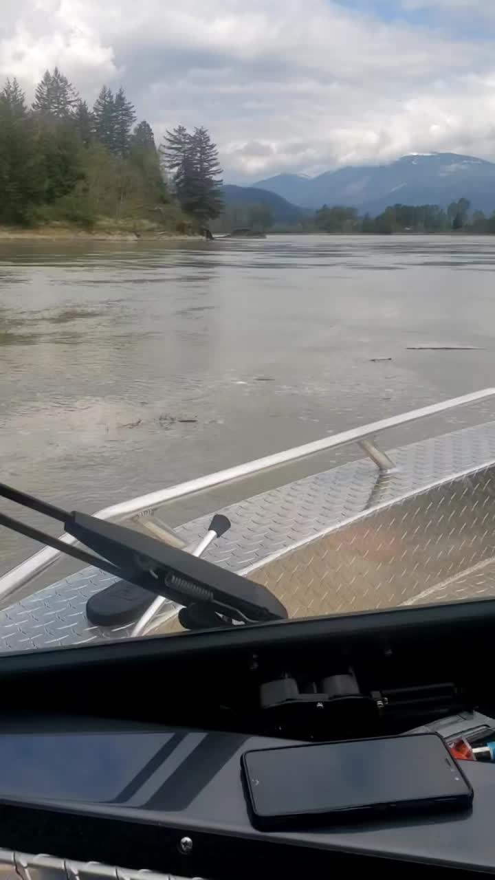 @BC WILDLIFE JETBOAT TOURS