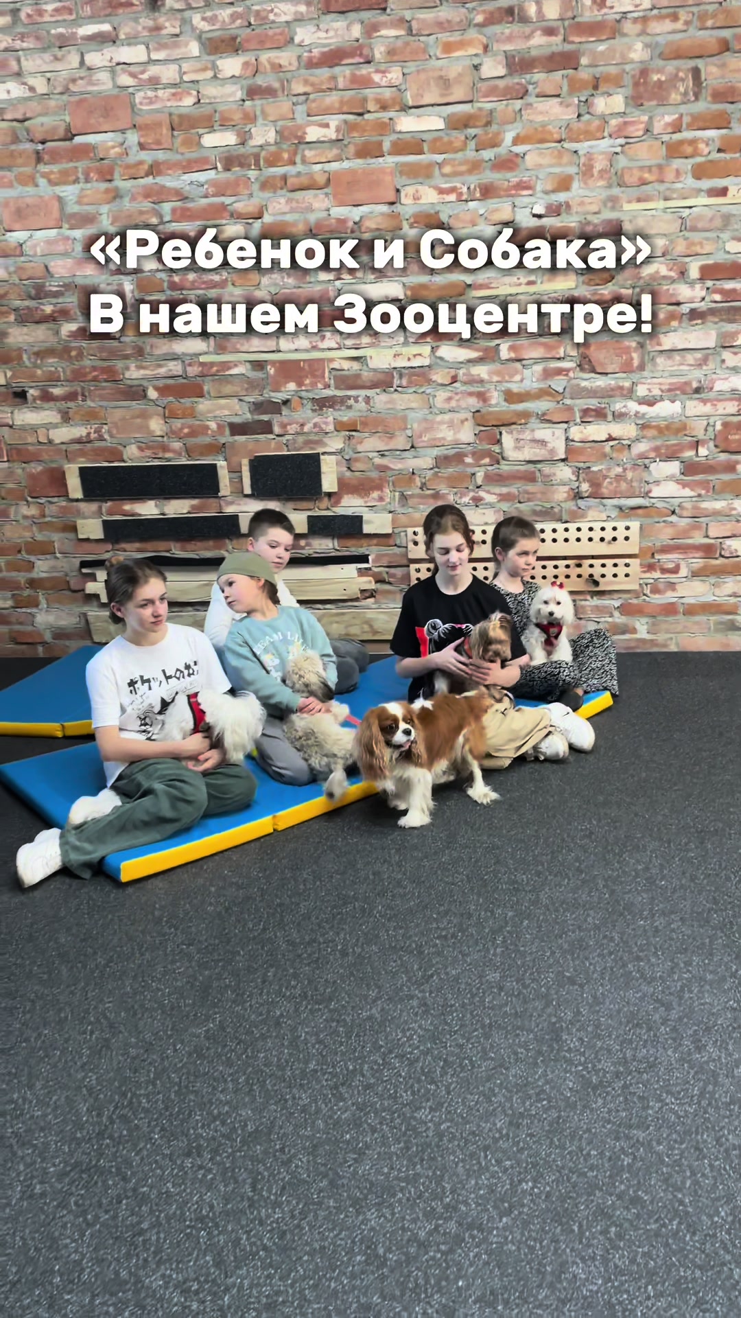 @dogcat_center.by