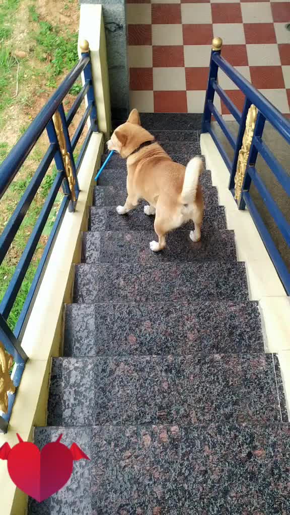@💛 ಕನ್ನಡಿಗ ಯೋಗೇಶ್ ❤