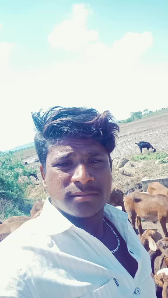 @user2749831871801