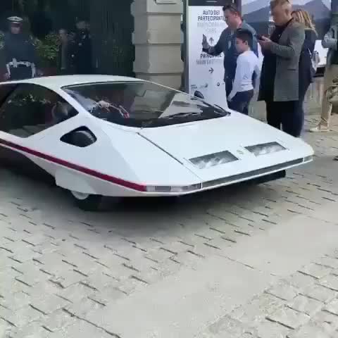 @thecarlover