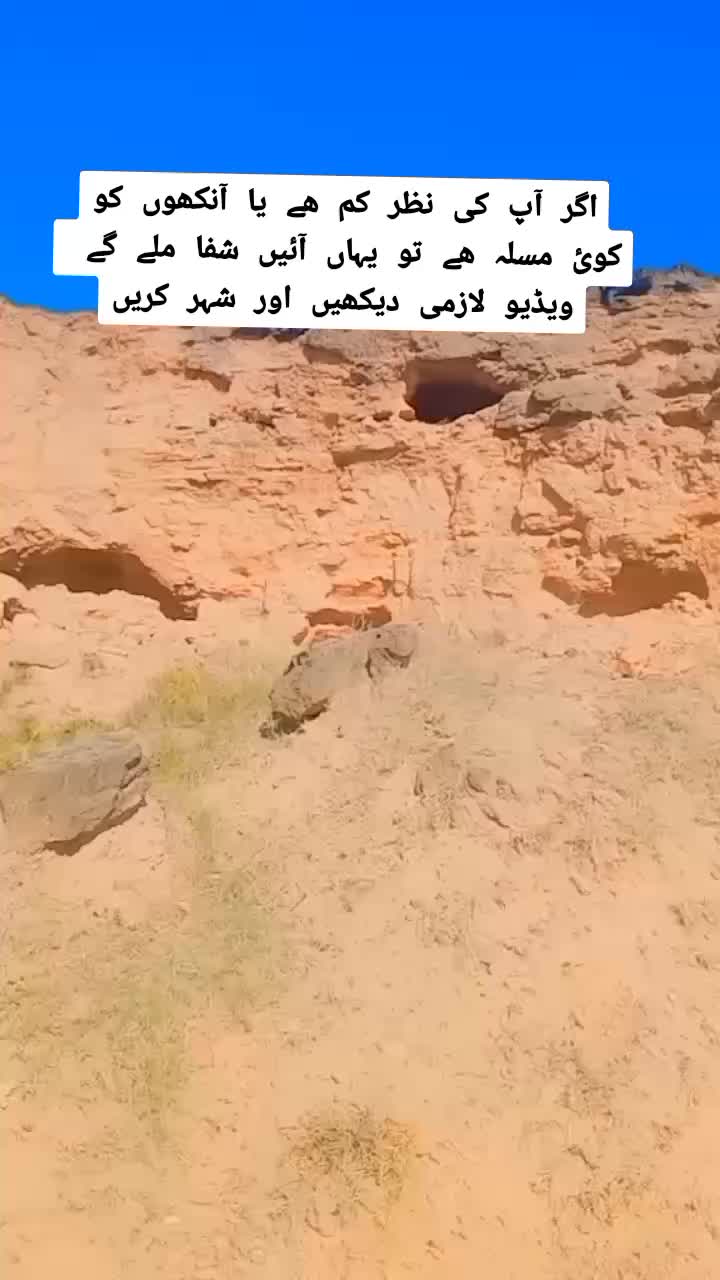 @سیدعامرشیرازی913