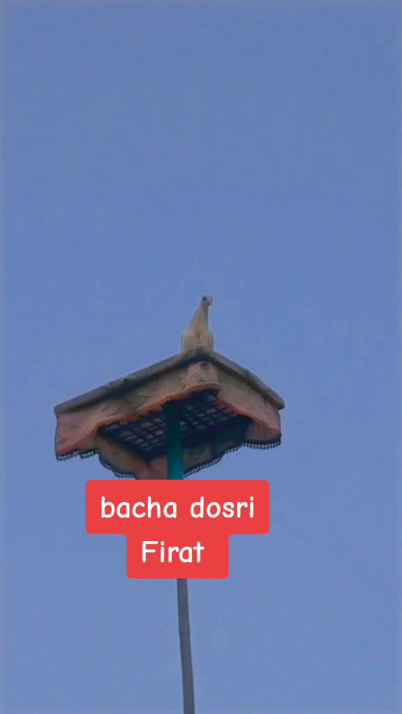 @kaboter Bazi10eb