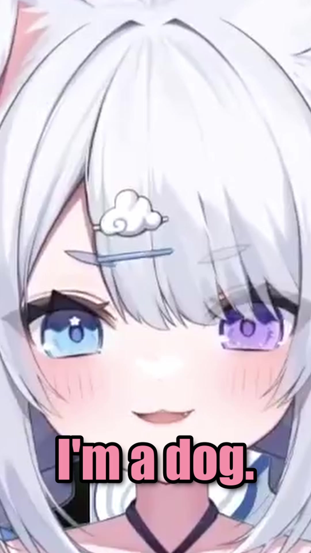 @pipstiny