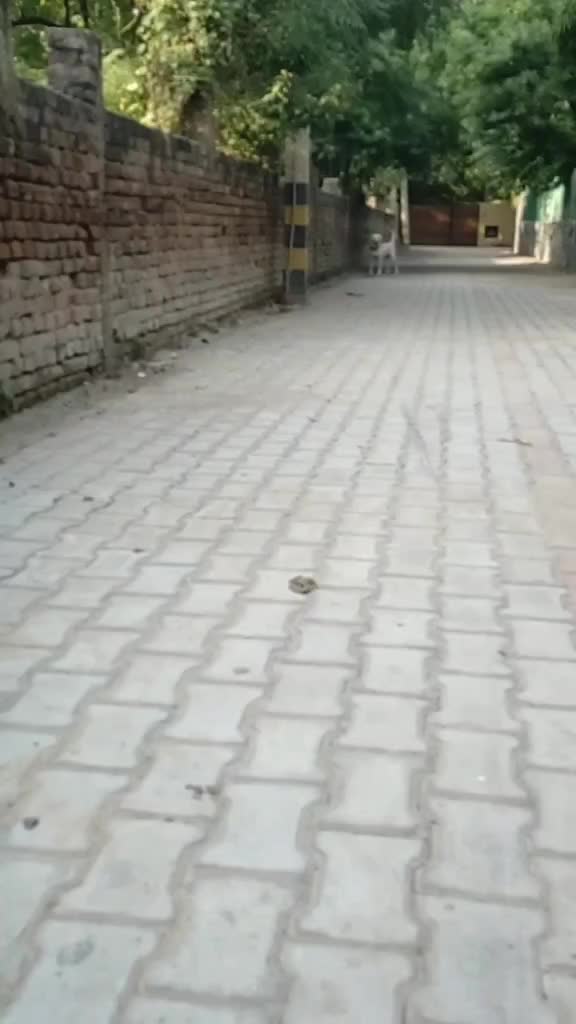 @Pranav Kumar