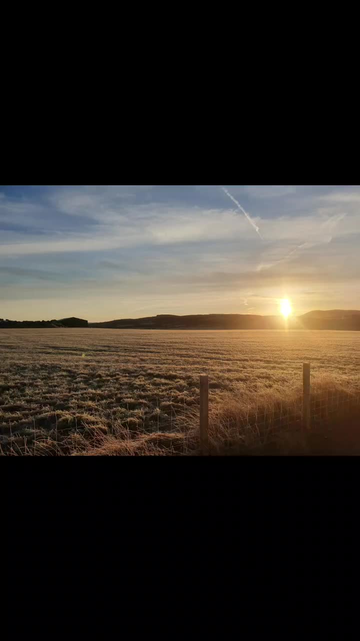 @Metal Detecting Scotland