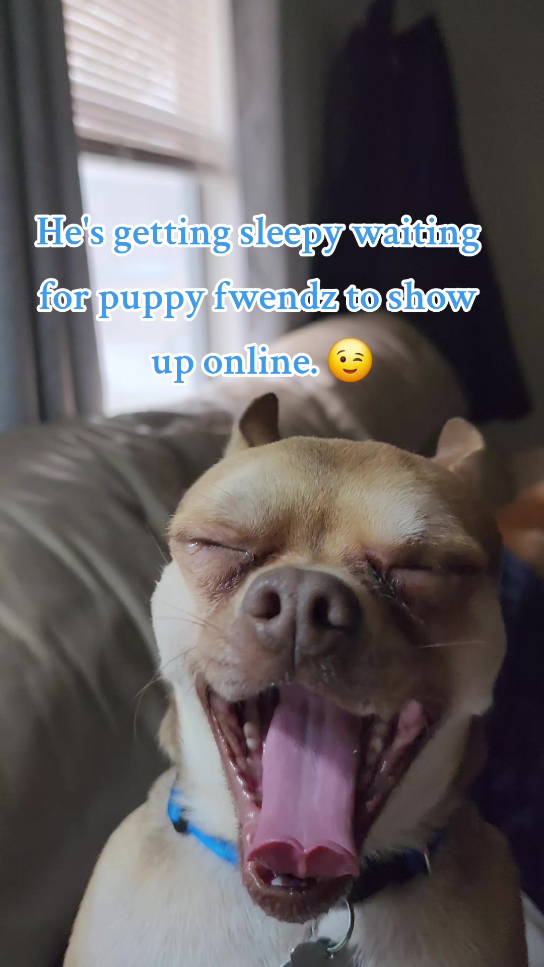 @Dr&eacute;