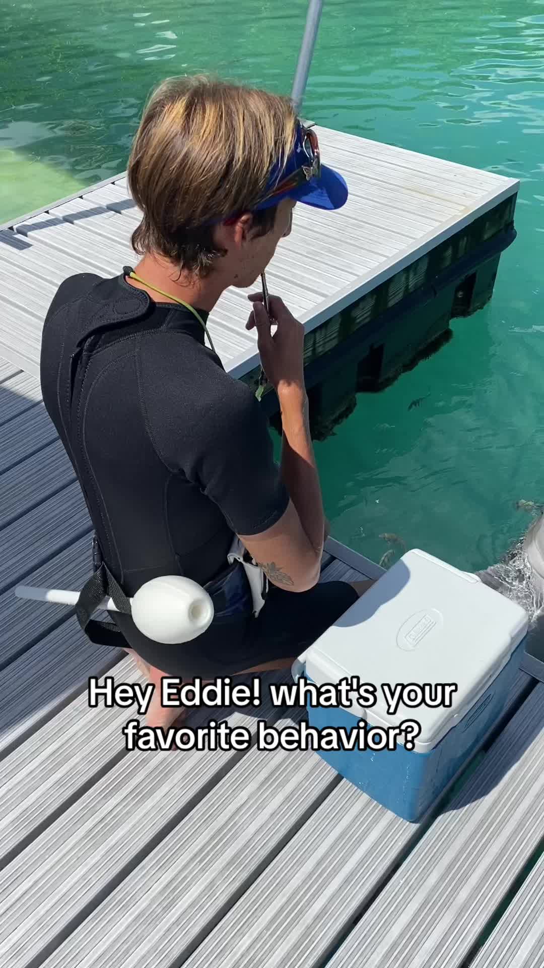 @dolphinconnection