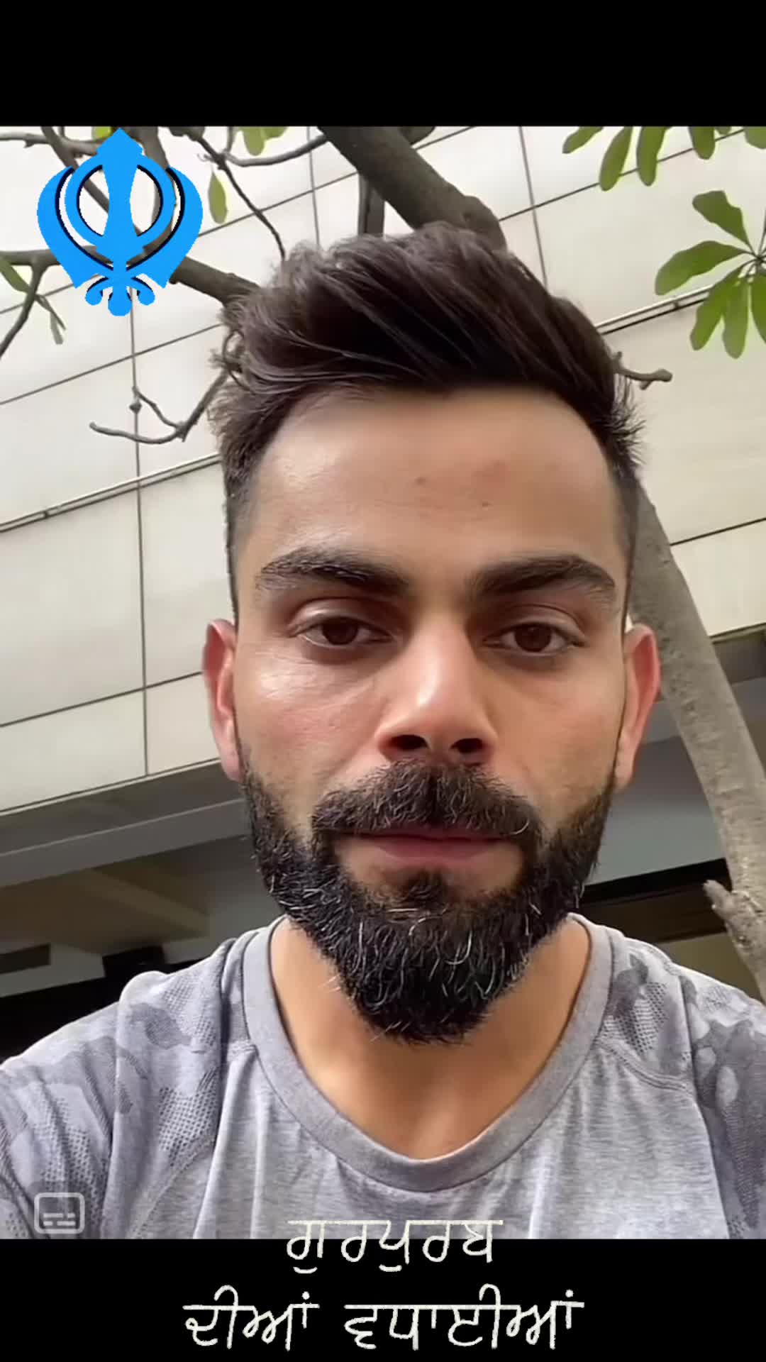 @Cricket Punjab 🔵