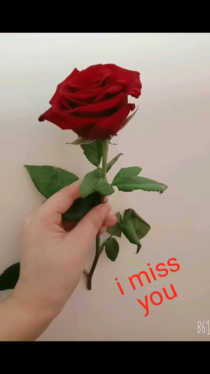 @Juna Rai