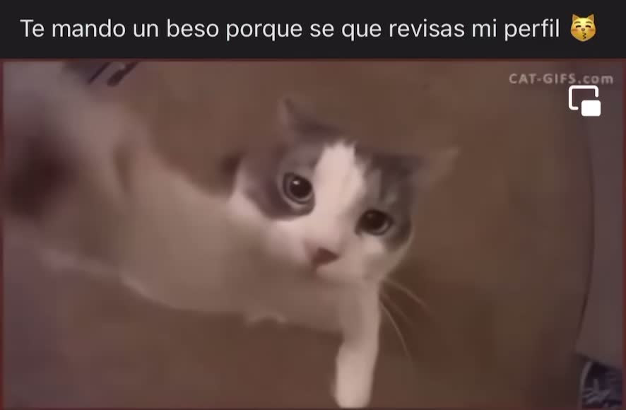 @Andrea G