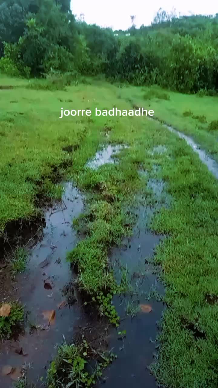 @amiinbadhadhe🇸🇴