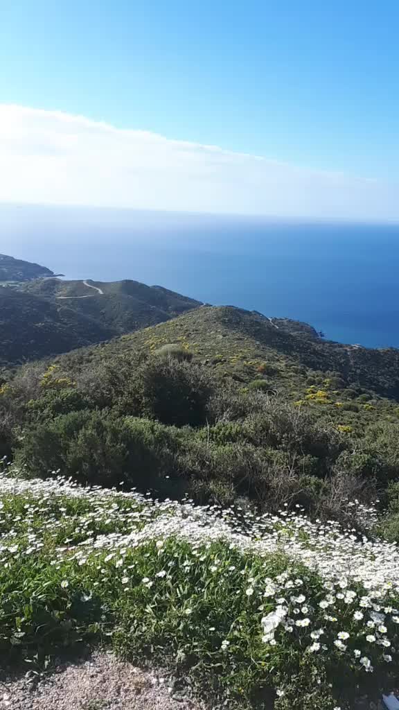 @Orhan Özaydınlı