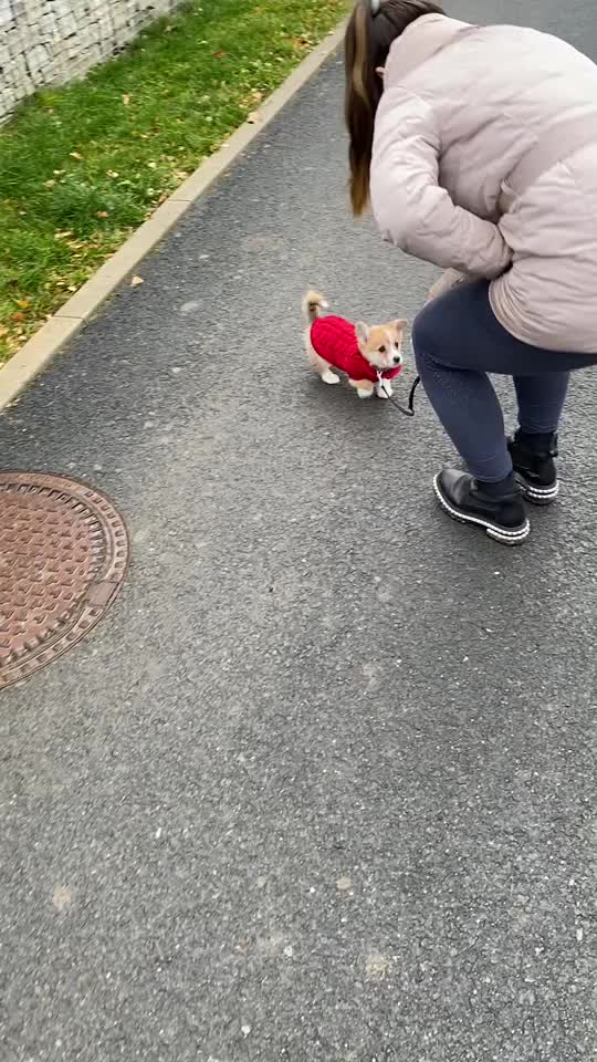 @jasminkathecorgi