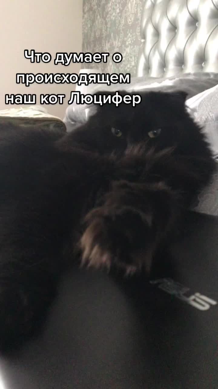 @МОНАВЛЮ