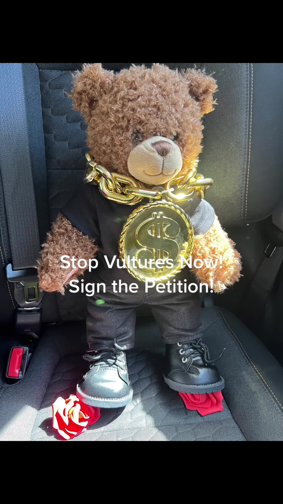 @stopvulturesnow
