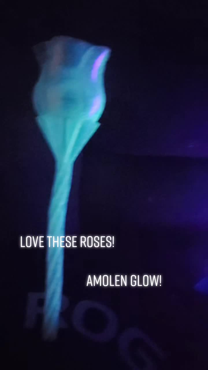 @ghosthippo