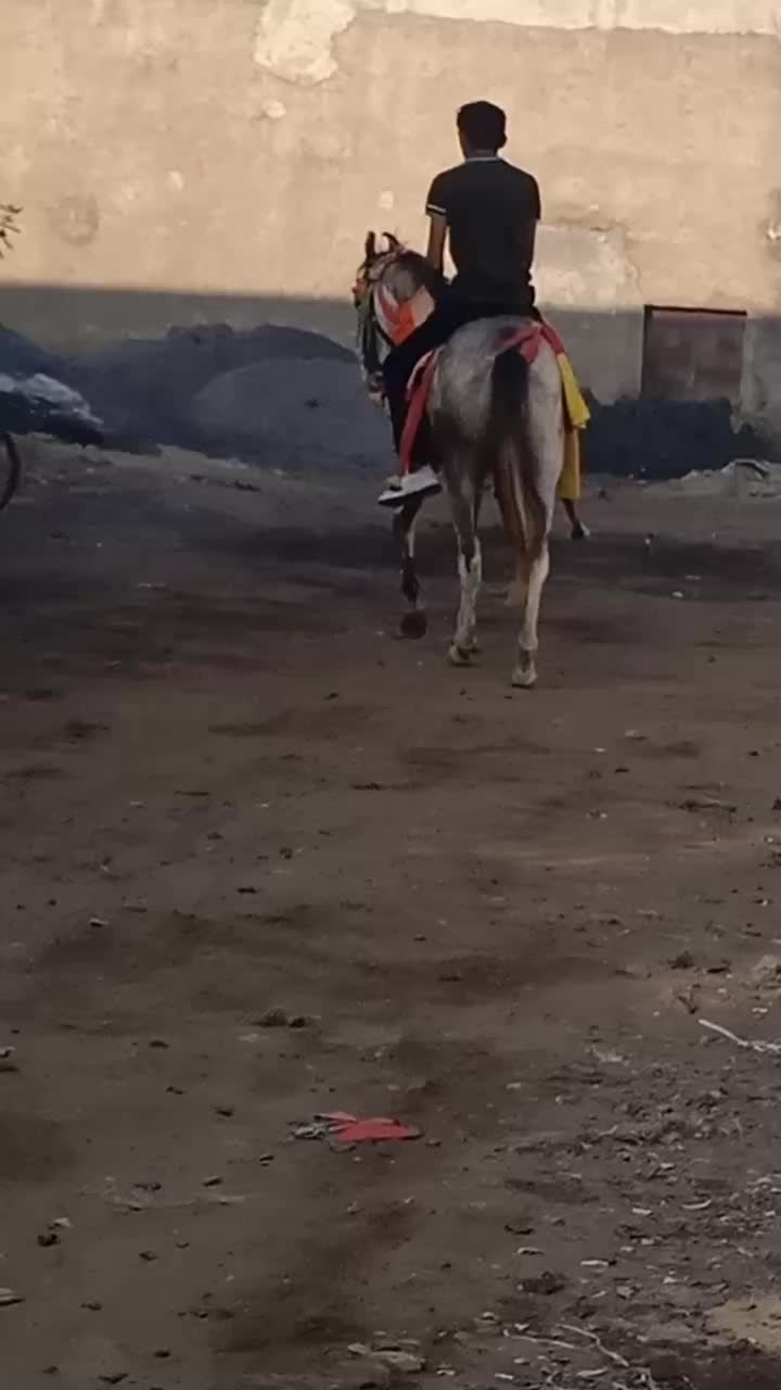 @gopal saniya