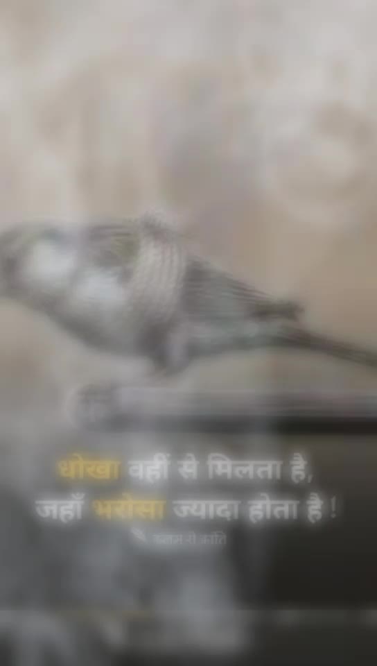 @🖤αℓσηε ℓσvεя🖤