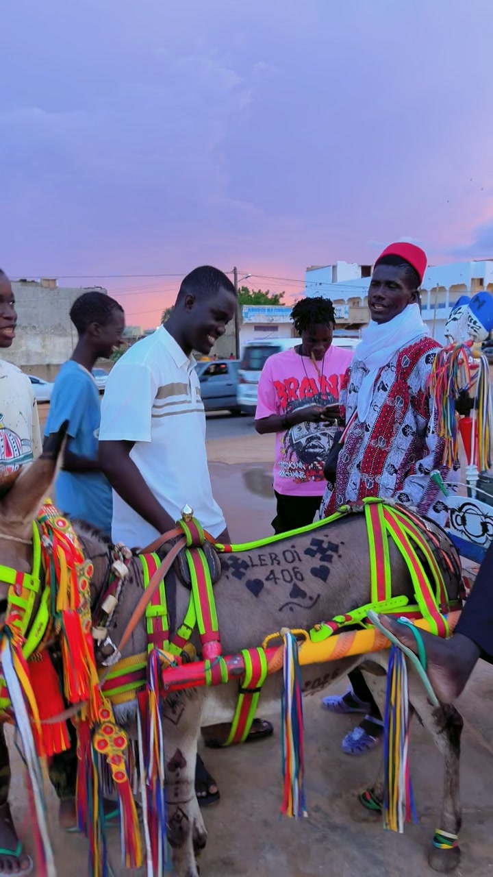 @SENE TERANGA BUSINESS ✪