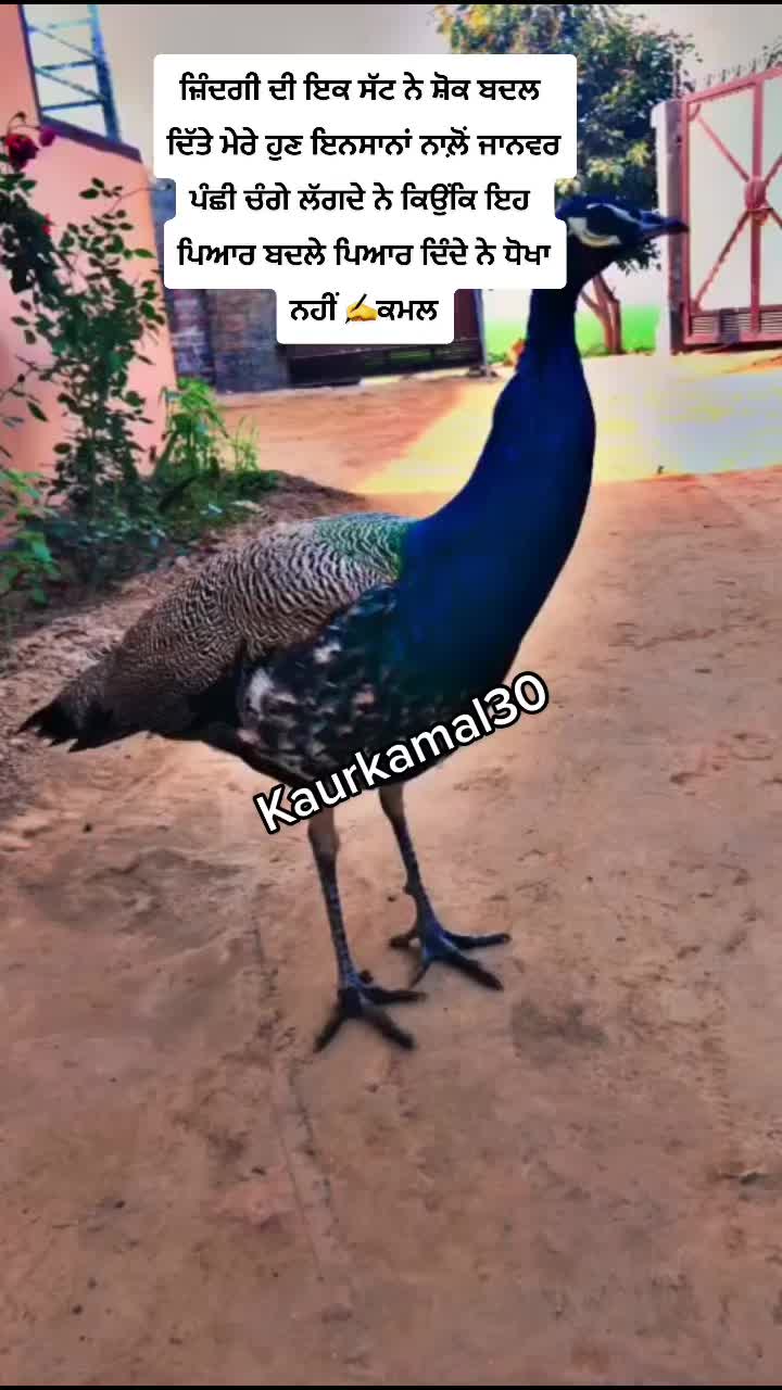 @KaUR KaMaL