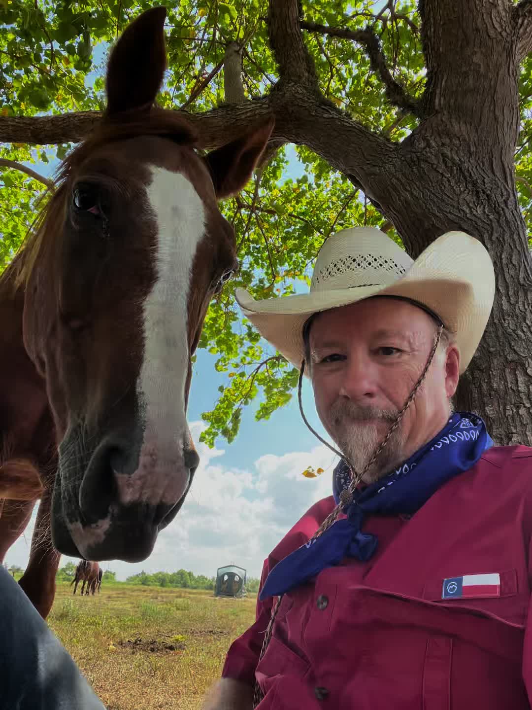 @CowboyBob_Horsemanship