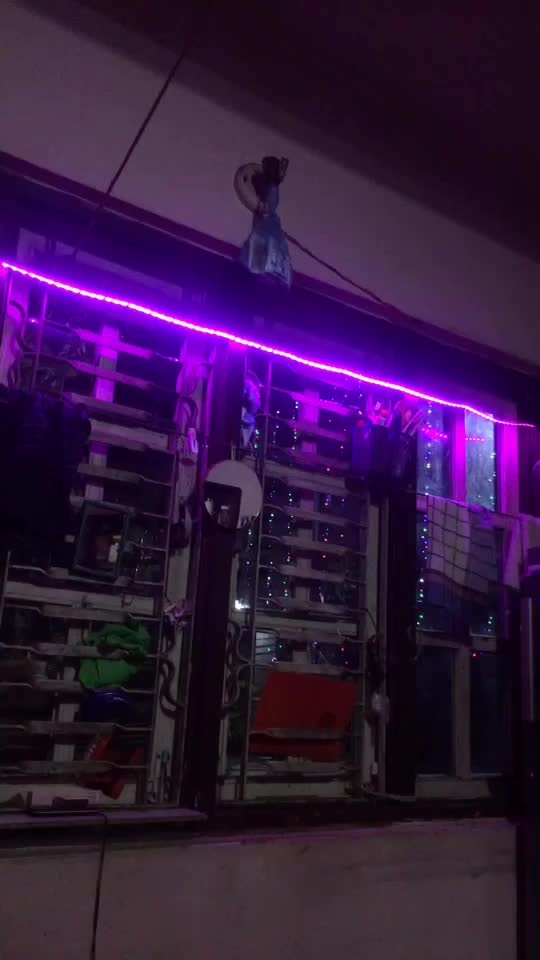 @Tiktok viewer