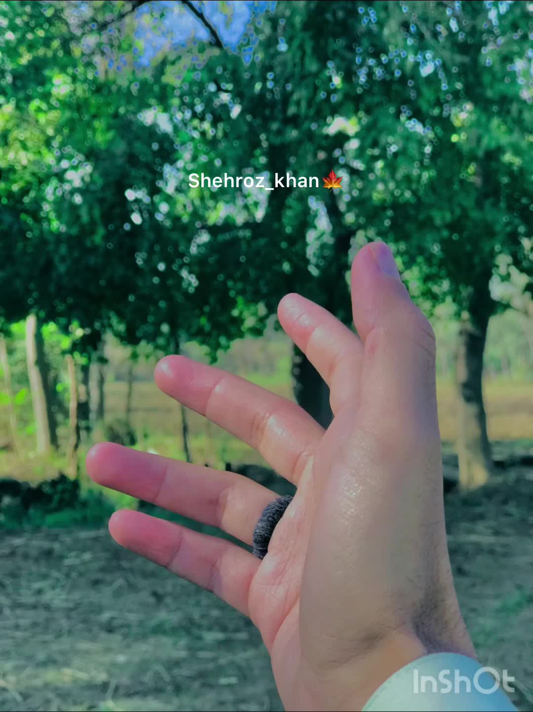 @Shehroz KhaN_🍁