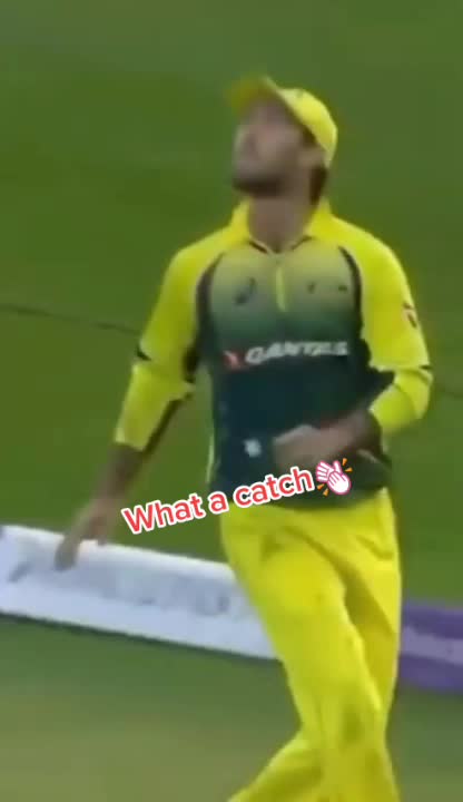 @cricket is life 🌎