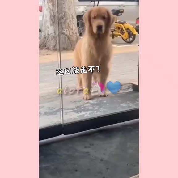 @ᴀʟᴏʀᴀ♡︎✨